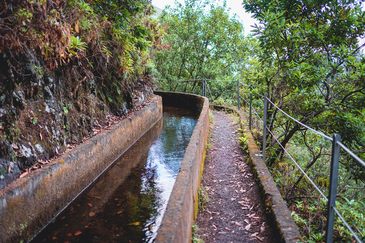 Madeira Fontes A Nejkr Sn J Lev Dy Ostrova Greenmind Cz