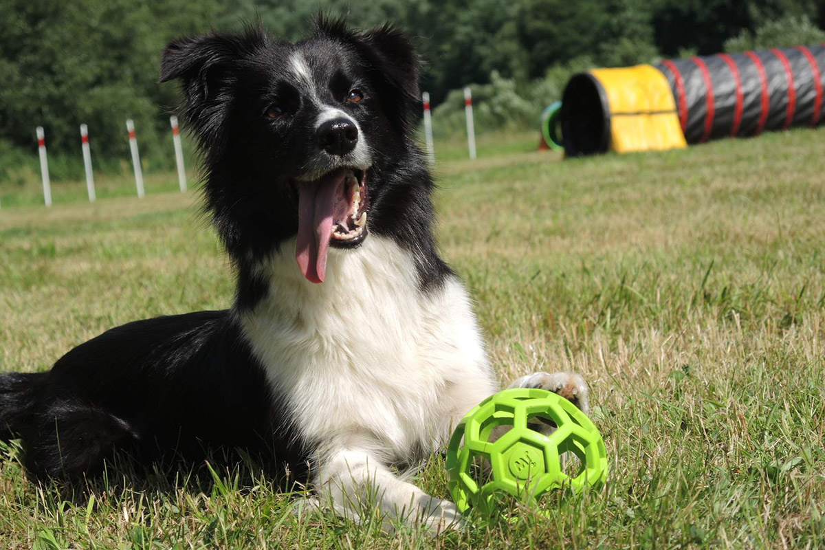 Agility tábor U Mloka