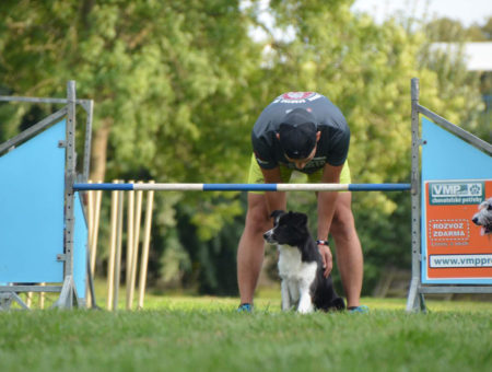 Agility tábor Louny