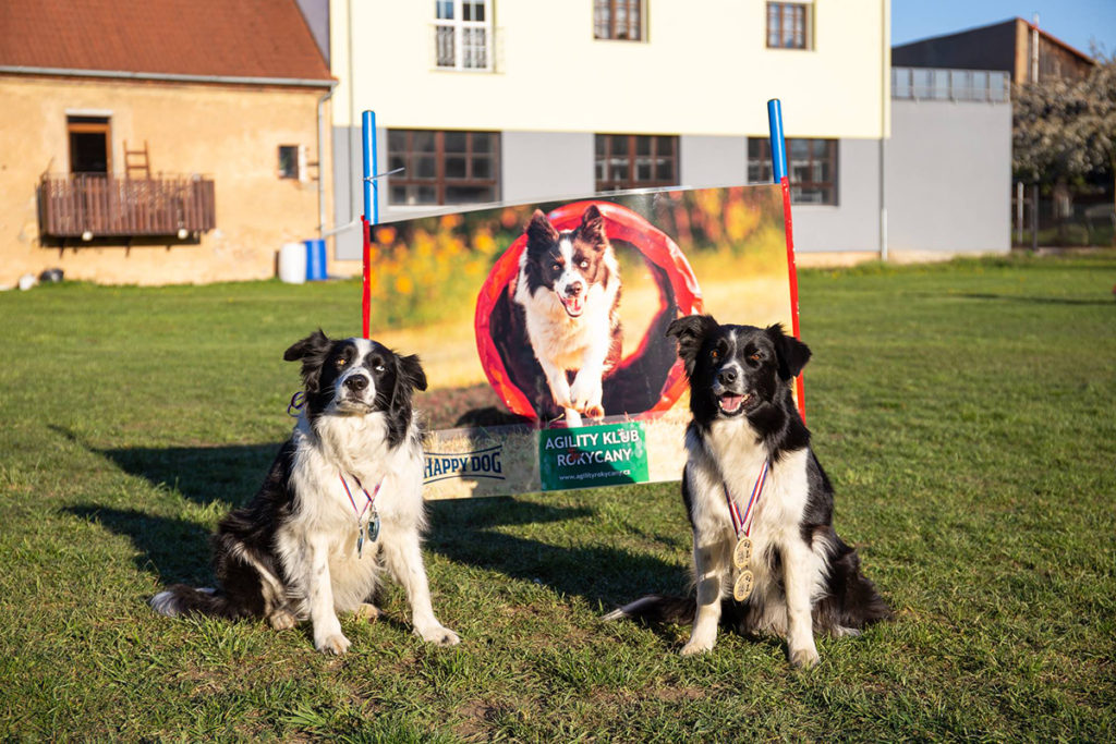 Rozárka s Lucy vyhrály obě LA2 zkoušky agility závodů Rokycanská skočná