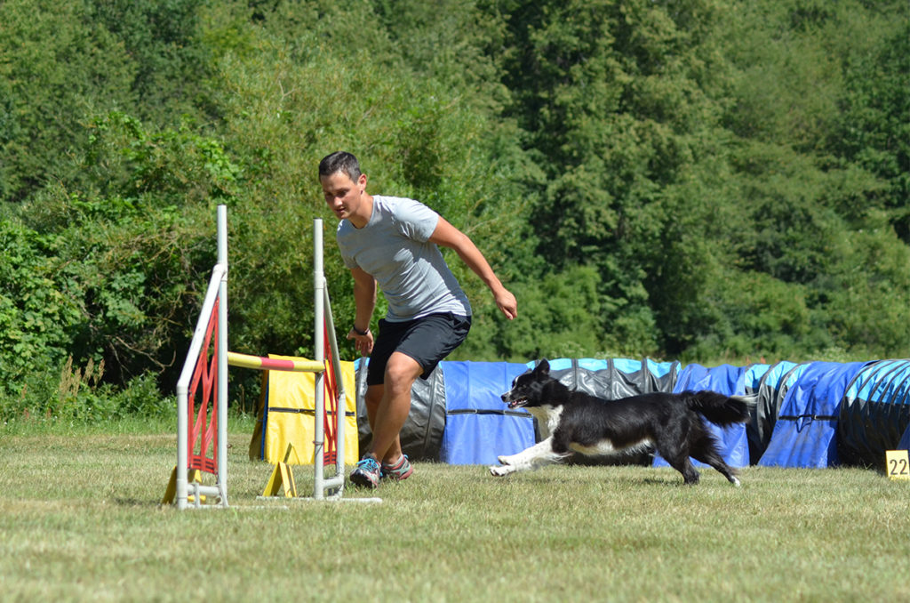 Agility tábor u Berounky