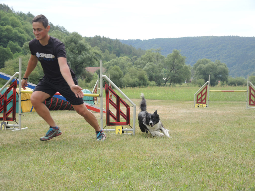 Agility tábor u Berounky