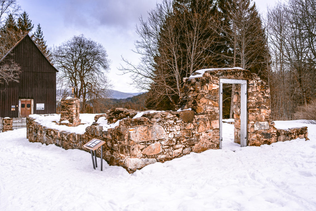 Šumava - Jezero Laka - Výlet se psem