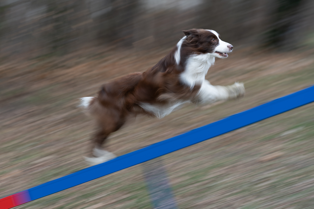 Lightroom preset - Agility panning