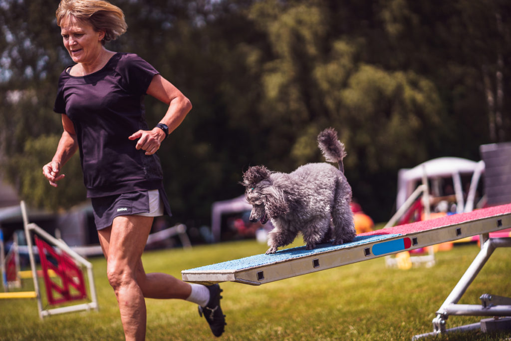 Agility závody Rokycanská skočná z pohledu organizátora