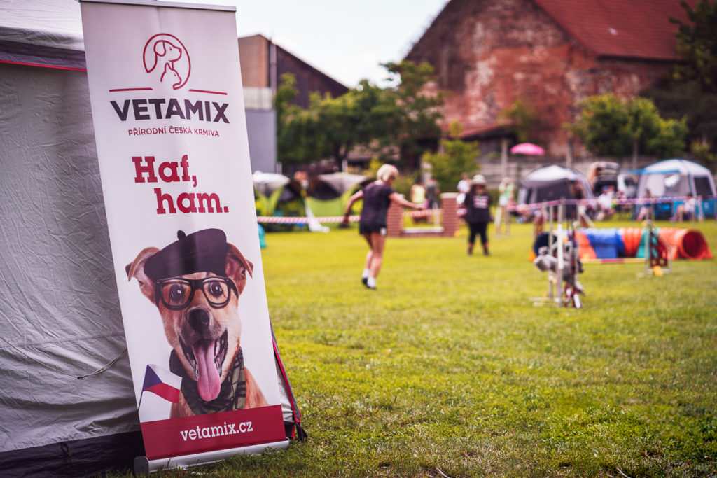 Agility závody Rokycanská skočná z pohledu organizátora