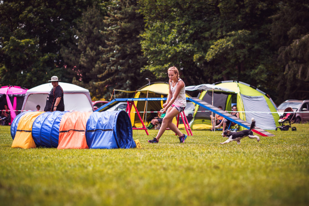 Agility závody Rokycanská skočná z pohledu organizátora