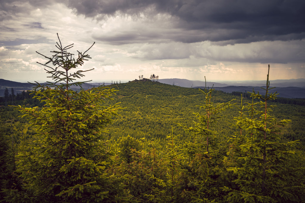 Šumava se psem - Knížecí stolec