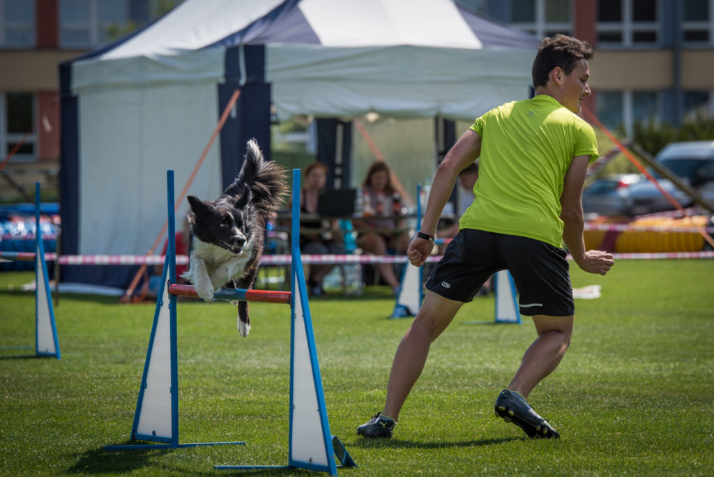 Radek Vandra - Agility závody