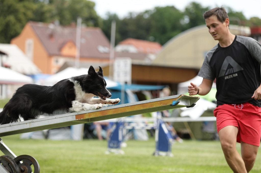 Radek Vandra - Agility závody