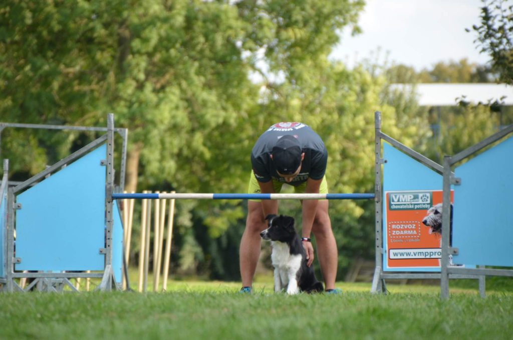 Radek Vandra - Agility závody