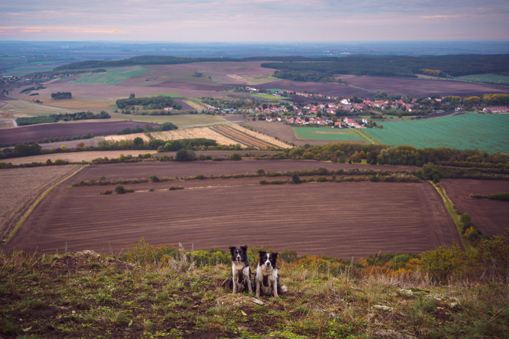 Hora Říp - Greenmind.cz - Cestování se psem