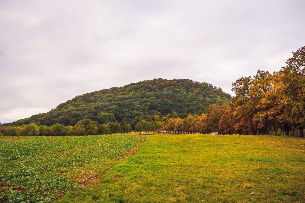 Hora Říp - Greenmind.cz - Cestování se psem