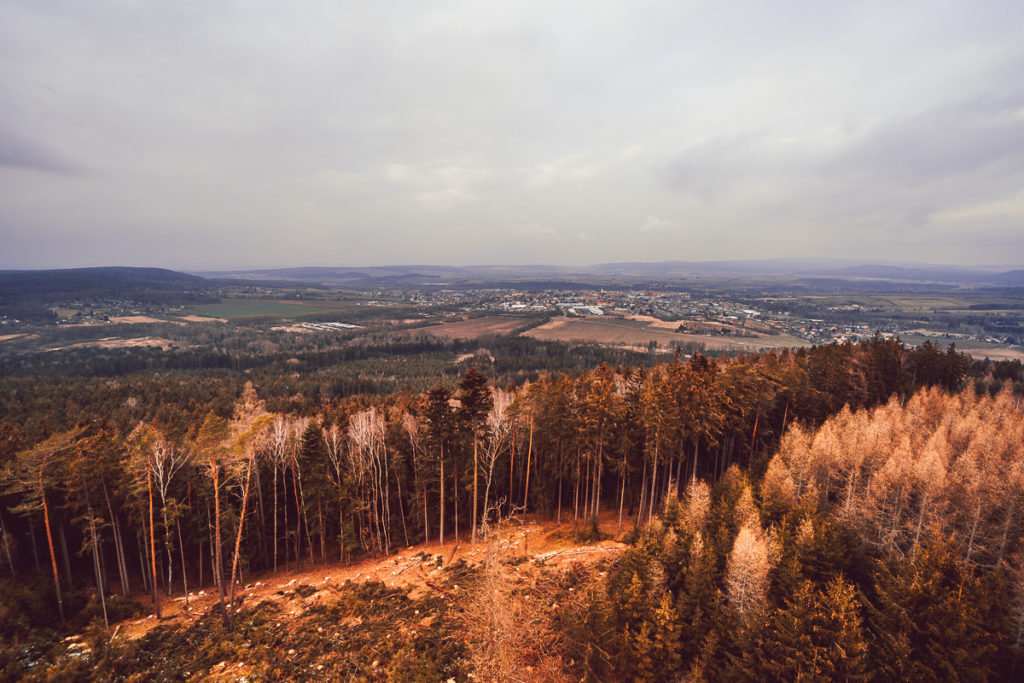 Rozhledna na Kotli u Rokycan - Greenmind.cz - Cestování se psem