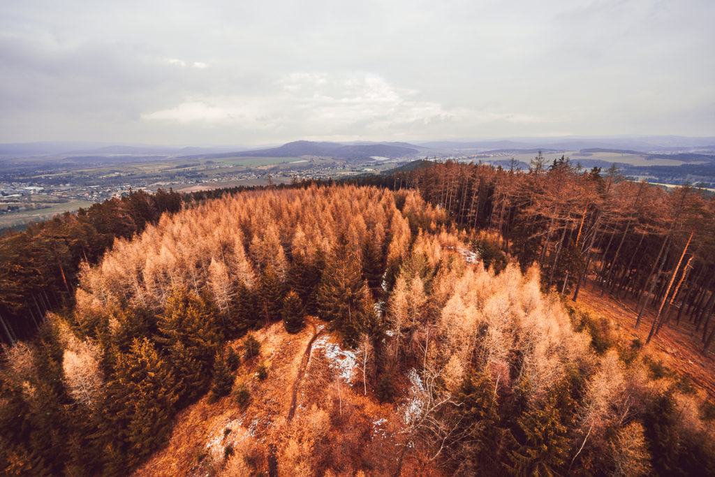 Rozhledna na Kotli u Rokycan - Greenmind.cz - Cestování se psem