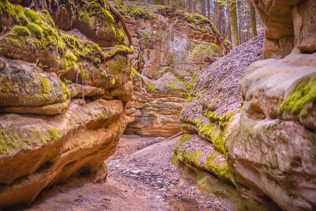 Pivnická rokle aneb český Grand Canyon - Greenmind.cz - Cestování se psem