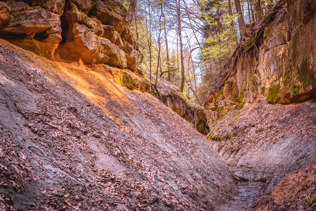 Pivnická rokle aneb český Grand Canyon - Greenmind.cz - Cestování se psem