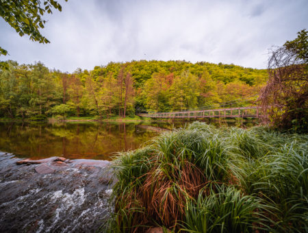 Národní park Podyjí