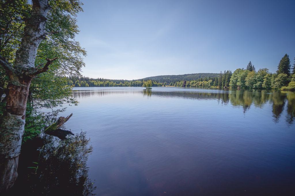 Naučná stezka Kladská se psem - Greenmind.cz - Cestování se psem