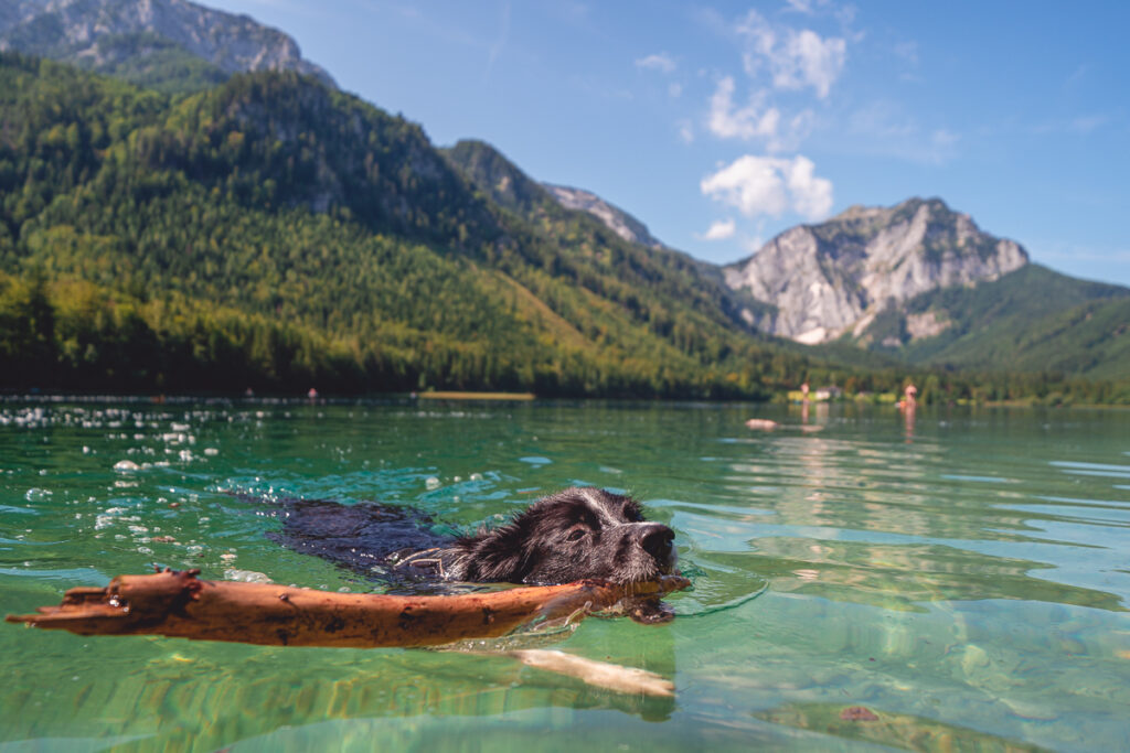 Rakousko se psem - Jezera Vorderer Langbathsee a Hinterer Langbathsee - Výlet - Rakousko se psem - Solná Komora - Greenmind.cz - Cestování se psem