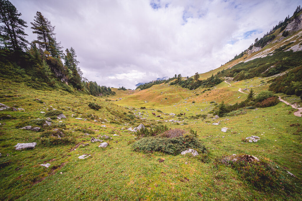 Vrchol Rofanspitze - Tyrolsko - Rakousko se psem - Výlet - Greenmind.cz - Cestování se psem