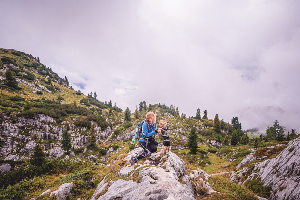 Vrchol Rofanspitze - Tyrolsko - Rakousko se psem - Výlet - Greenmind.cz - Cestování se psem