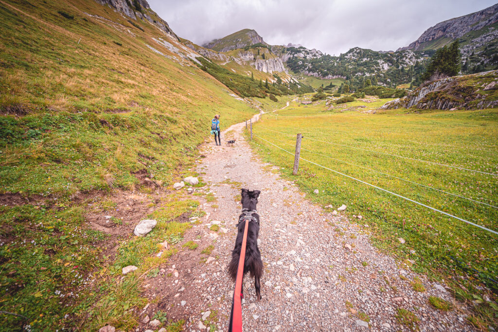 Vrchol Rofanspitze - Tyrolsko - Rakousko se psem - Výlet - Greenmind.cz - Cestování se psem