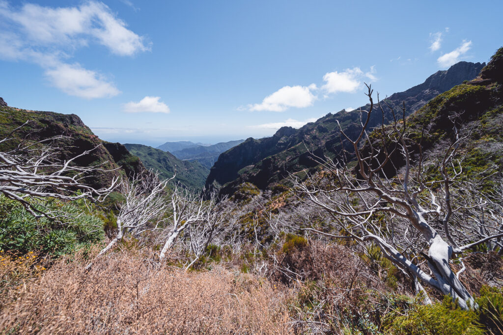 Madeira - Portugalsko - Hřebenovka - Pico do Arieiro - Pico Ruivo - Nejvyšší vrchol Madeiry - Výlet - Greenmind.cz - Cestování se psem