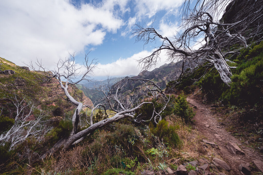 Madeira - Portugalsko - Hřebenovka - Pico do Arieiro - Pico Ruivo - Nejvyšší vrchol Madeiry - Výlet - Greenmind.cz - Cestování se psem