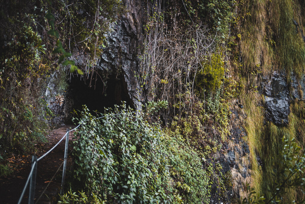 Madeira - Portugalsko - 25 Fontes a nejkrásnější levády na ostrově - Výlet - Greenmind.cz - Cestování se psem